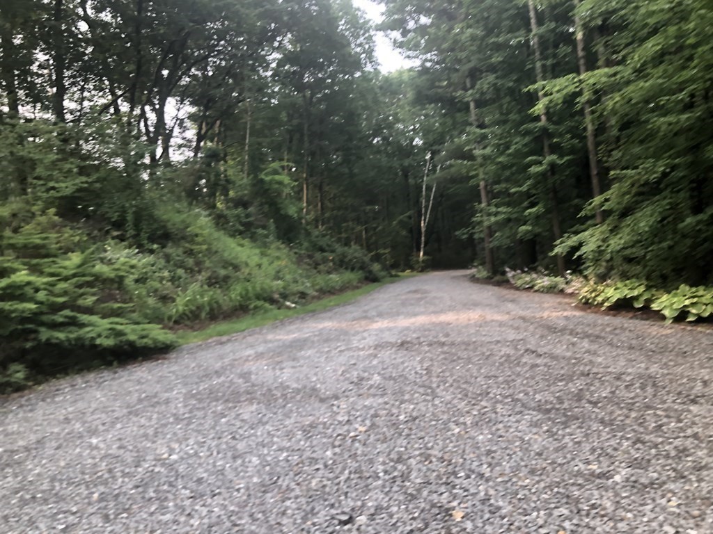 12 Estabrook Park Road Westminster, MA 01473 - Photo 22 of 29 a view of a forest with trees in the background