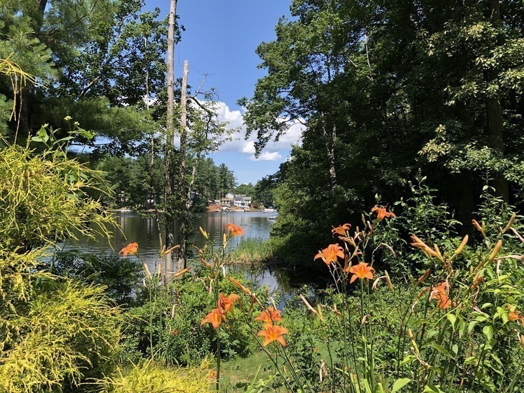 12 Estabrook Park Road Westminster, MA 01473 - Photo 24 of 29 a view of a garden with a tree