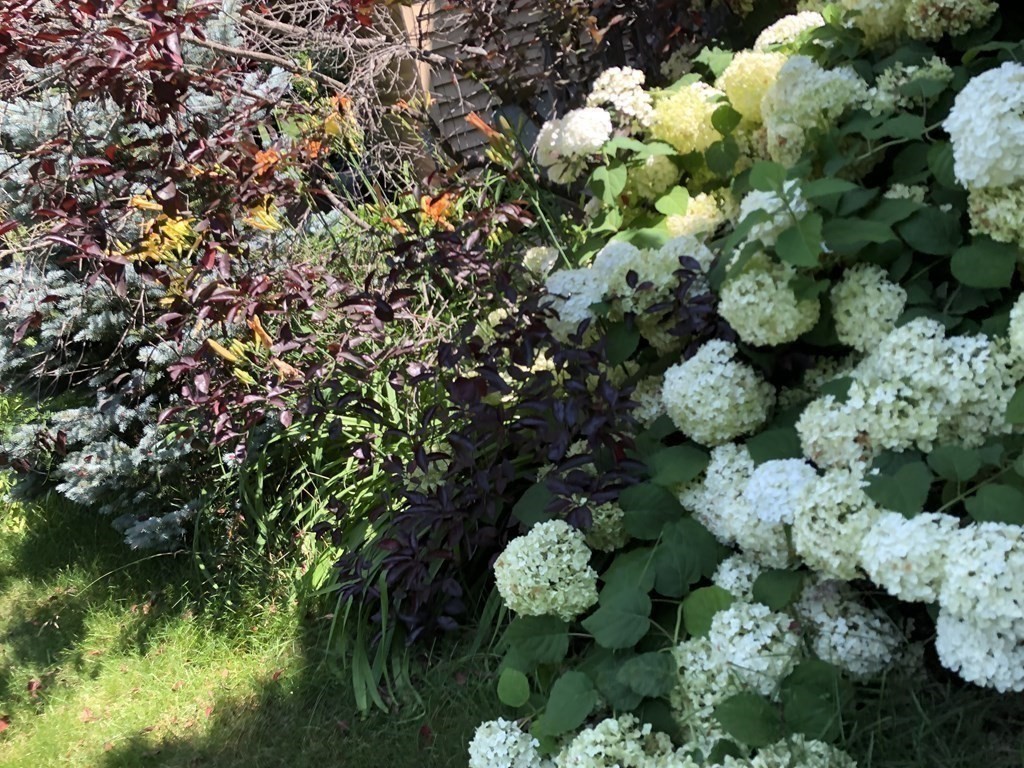 12 Estabrook Park Road Westminster, MA 01473 - Photo 26 of 29 a bunch of flowers in a garden