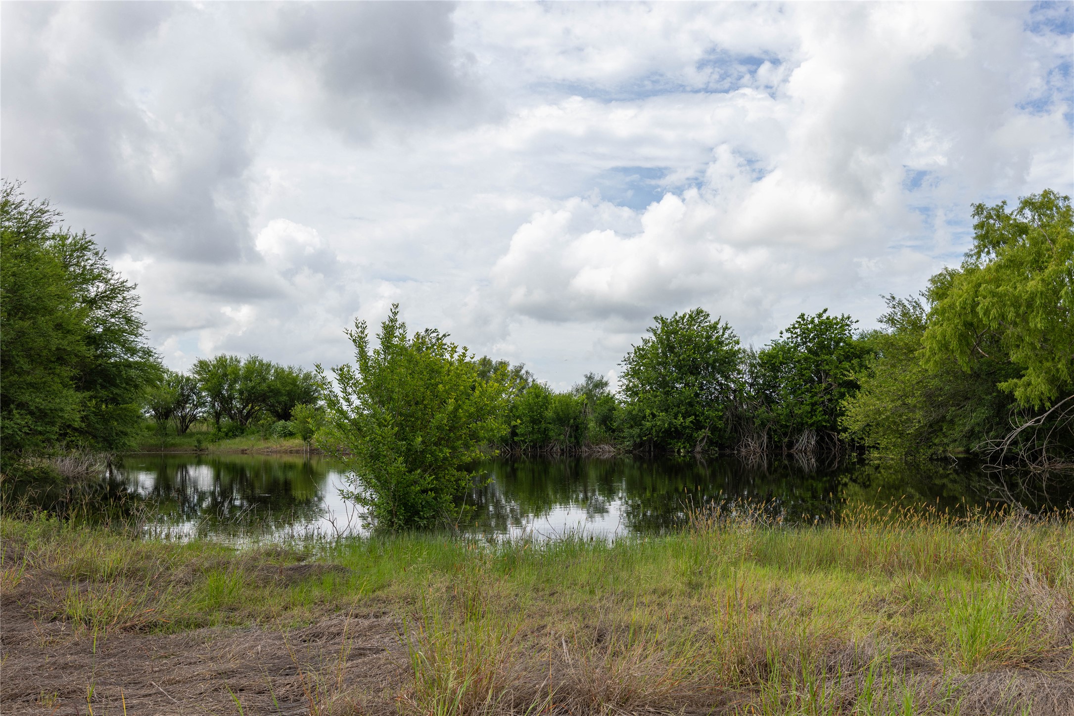6868 Pfeil Road Schertz, TX 78154 - Photo 6 of 14 a view of a lake with a yard