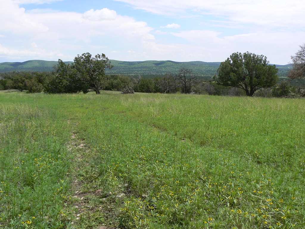 245 Spring Mesa Road Pinon, NM 88344 - Photo 1 of 1 Gallery Image 1