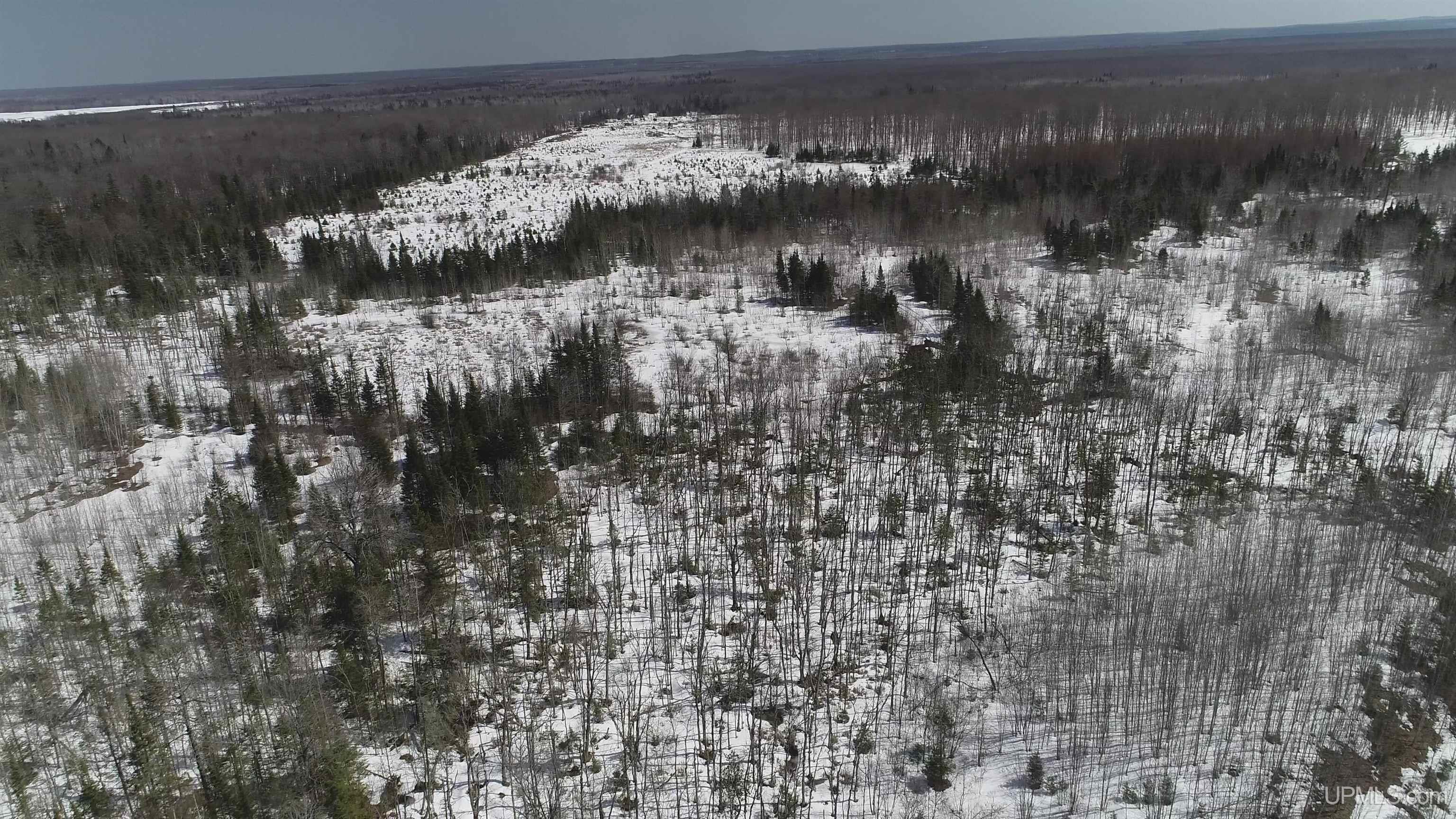 V25 Rd Trenary Mi 49891 Road Rapid River, MI 49878 - Photo 17 of 28