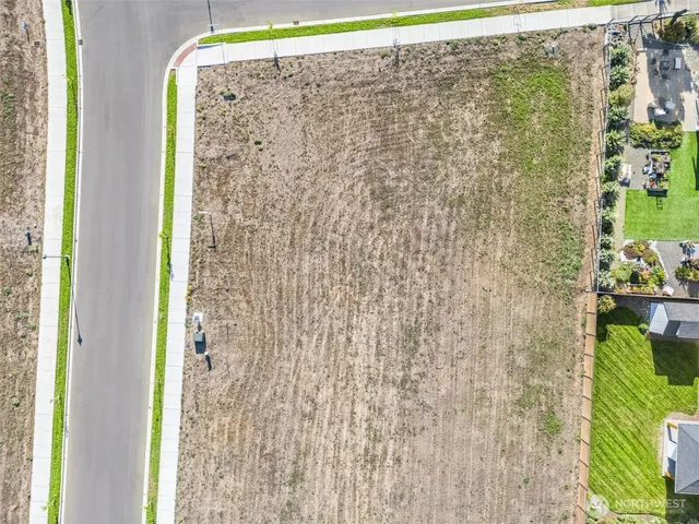 a bathroom with a shower curtain