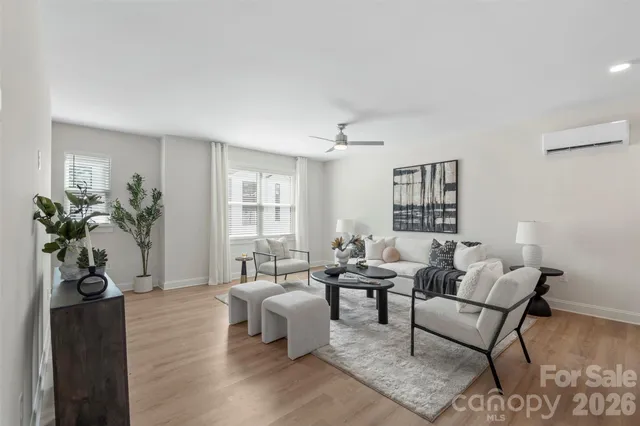 a living room with furniture or couch and a potted plant