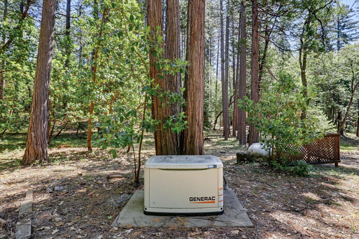 14517 North Bloomfield Road Nevada City, CA 95959 - Photo 50 of 78 a view of outdoor space and yard