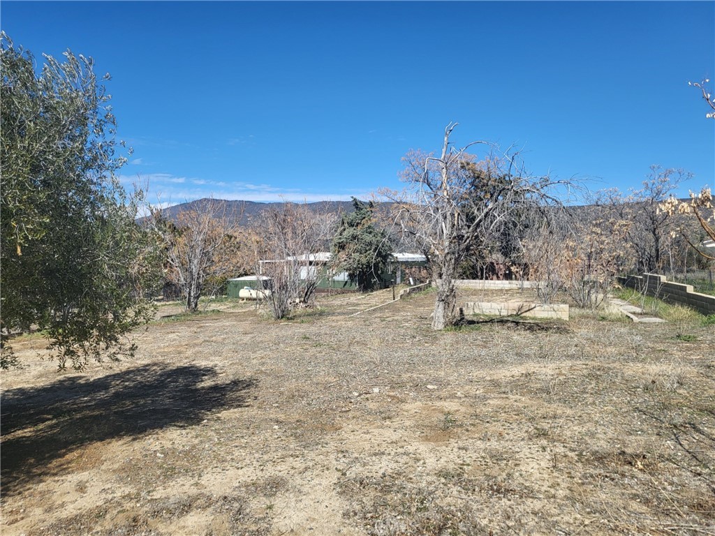 58773 Yaw Road Anza, CA 92539 - Photo 1 of 1 Gallery Image 1