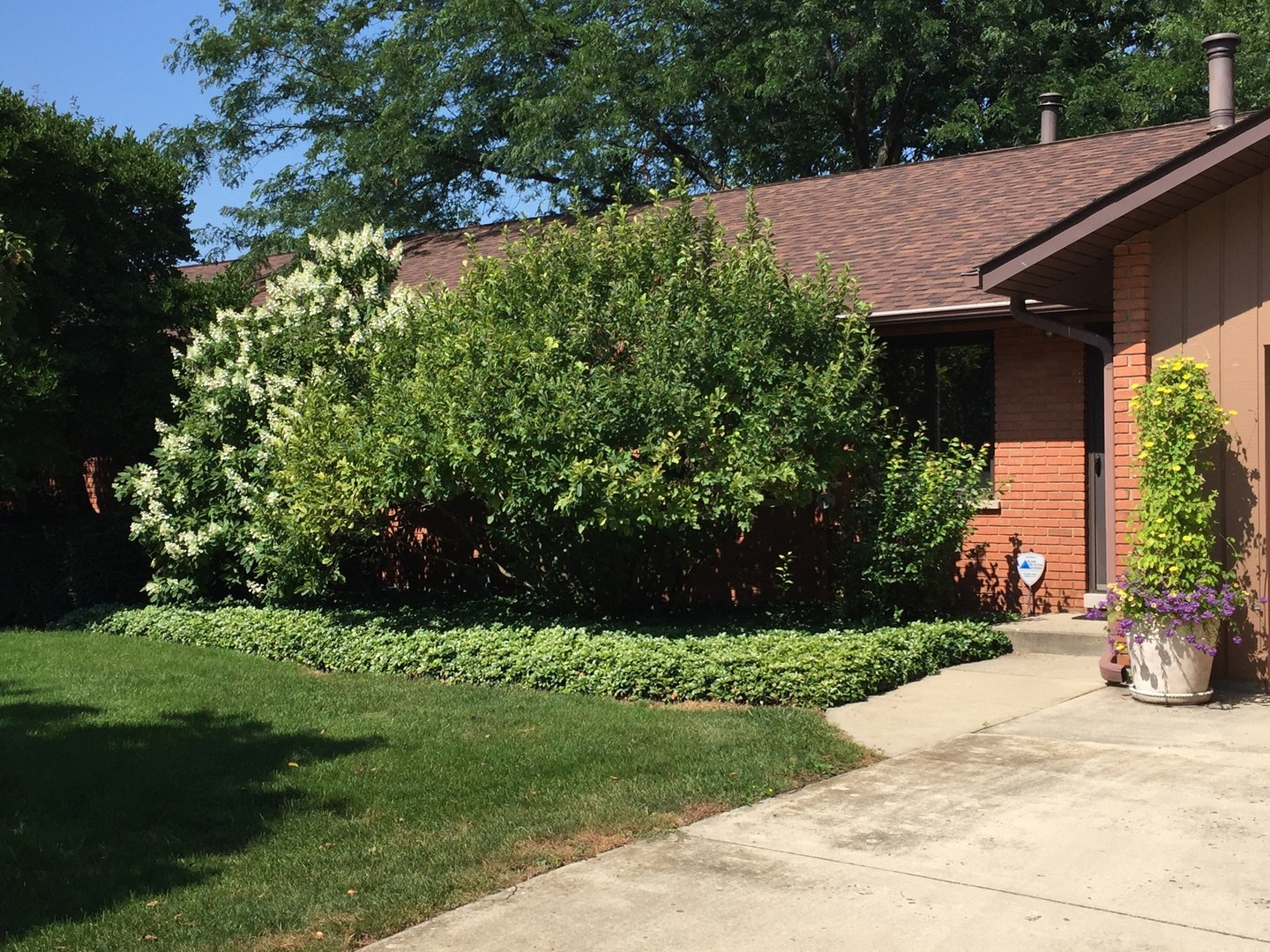 43W485 Thornapple Tree Road Sugar Grove, IL 60554 - Photo 37 of 45