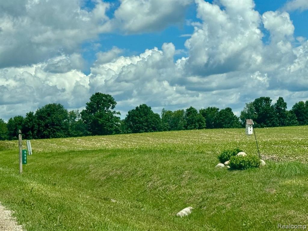 6686 Schott Road Mayville, MI 48744 - Photo 22 of 25