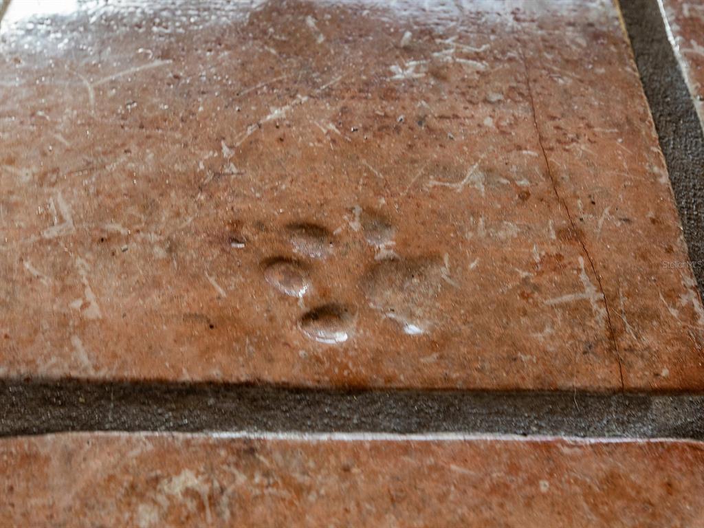 3932 Ragen Street North Port, FL 34287 - Photo 22 of 40 a view of door covered with snow in the background