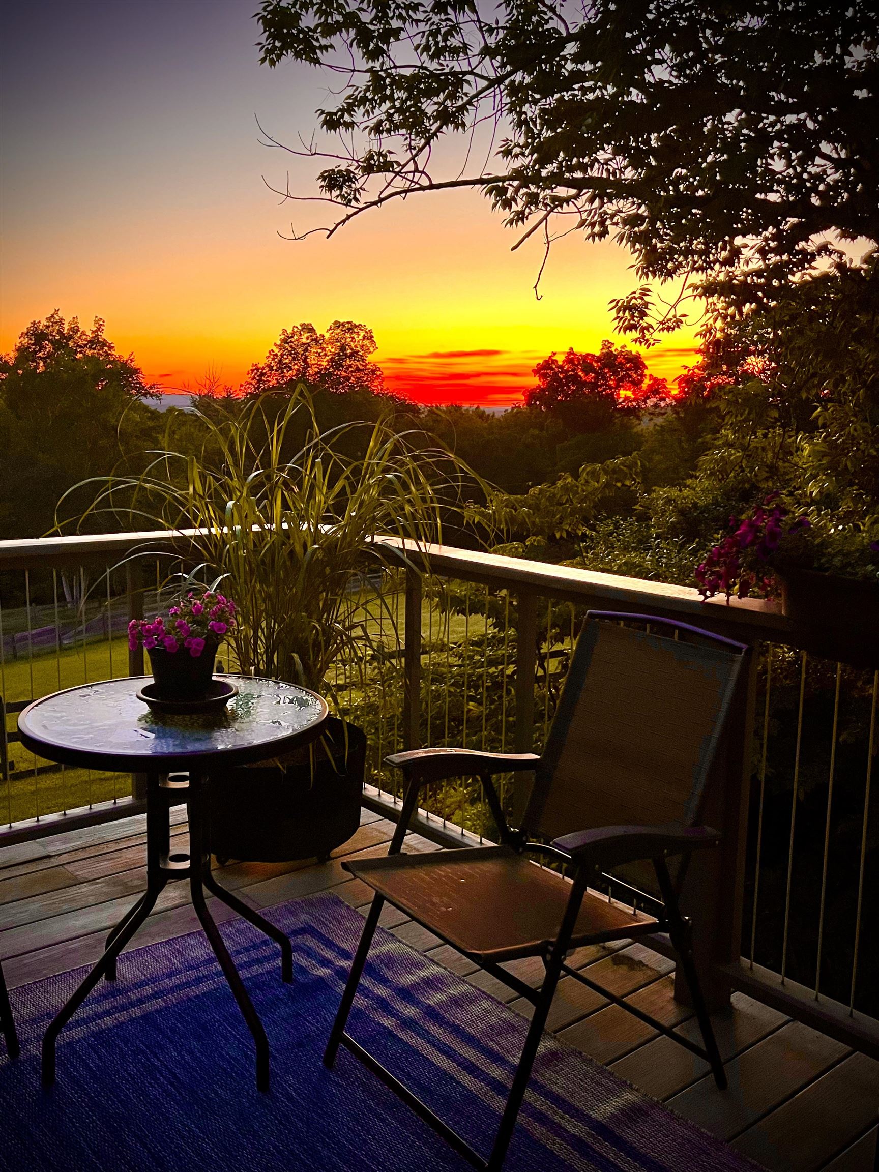 184 Deerfield Road Nottingham, NH 03290 - Photo 54 of 59 Gallery Image 54