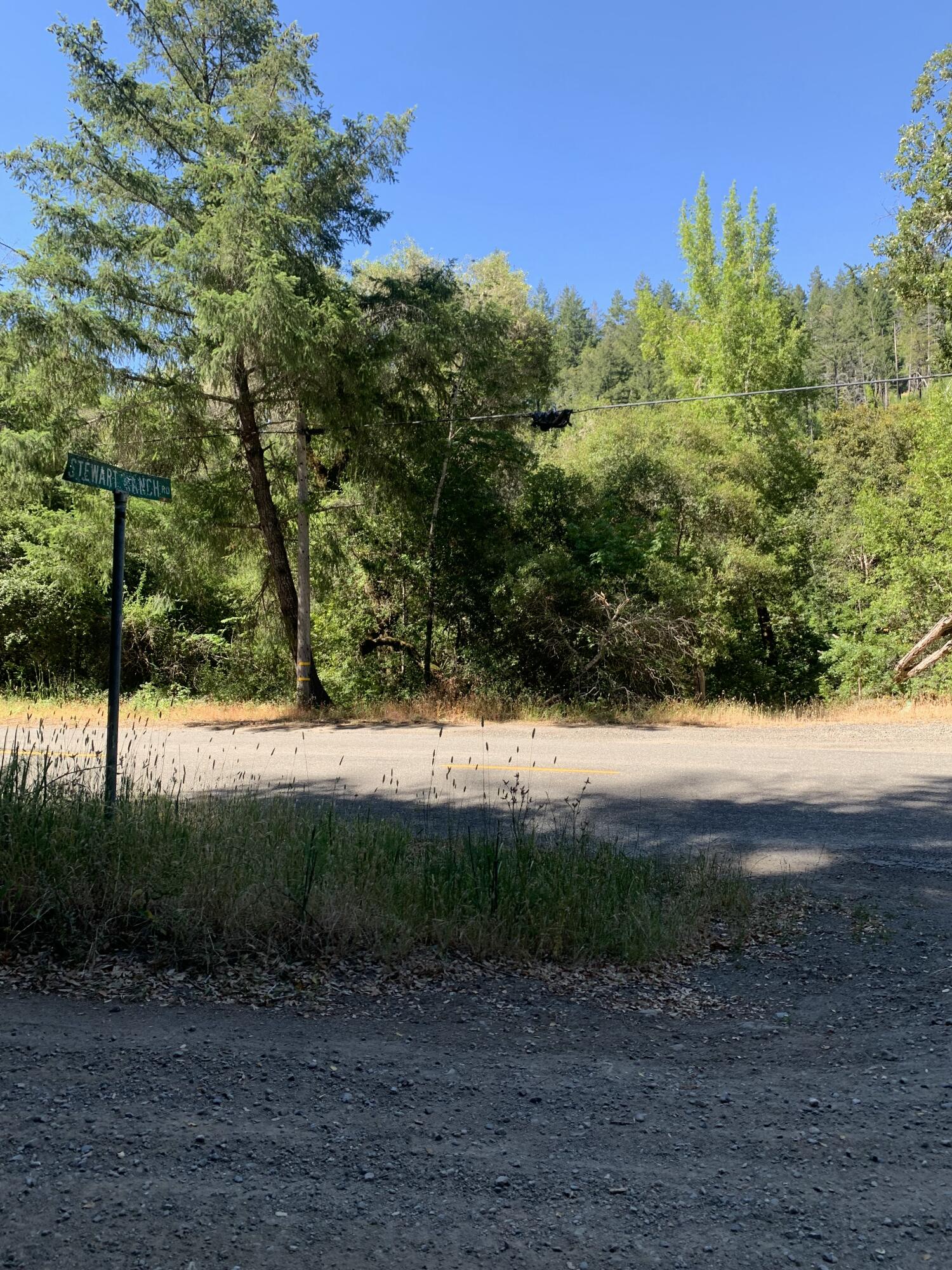 160-acres Alderpoint Road Alderpoint, CA 95511 - Photo 12 of 16