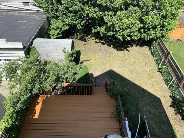 a view of a yard and plants