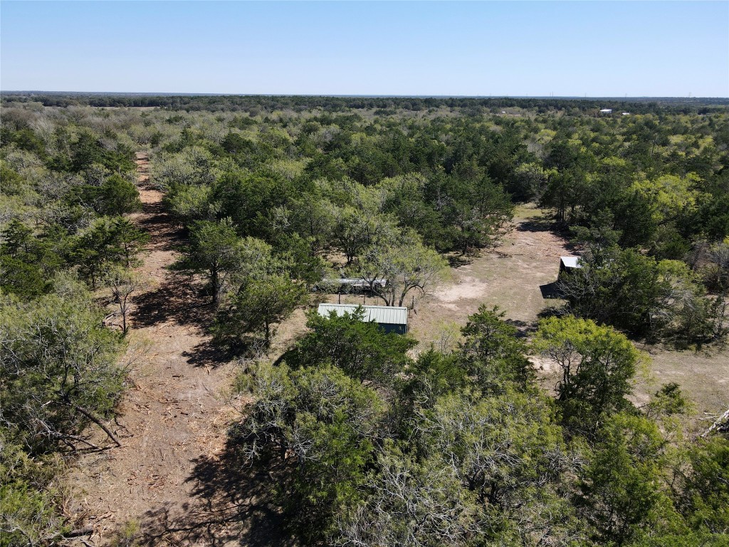 Tbd Lot 4 Tbd Road Flatonia, TX 78941 - Photo 2 of 8 a view of a forest with a houses