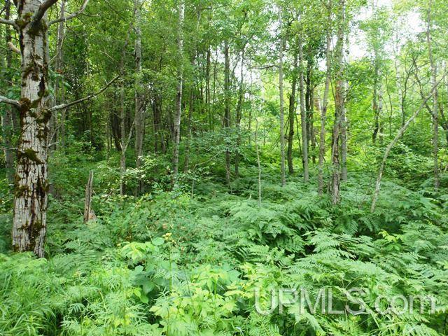 Tbd West Sunset Lake Road Iron River, MI 49935 - Photo 3 of 8