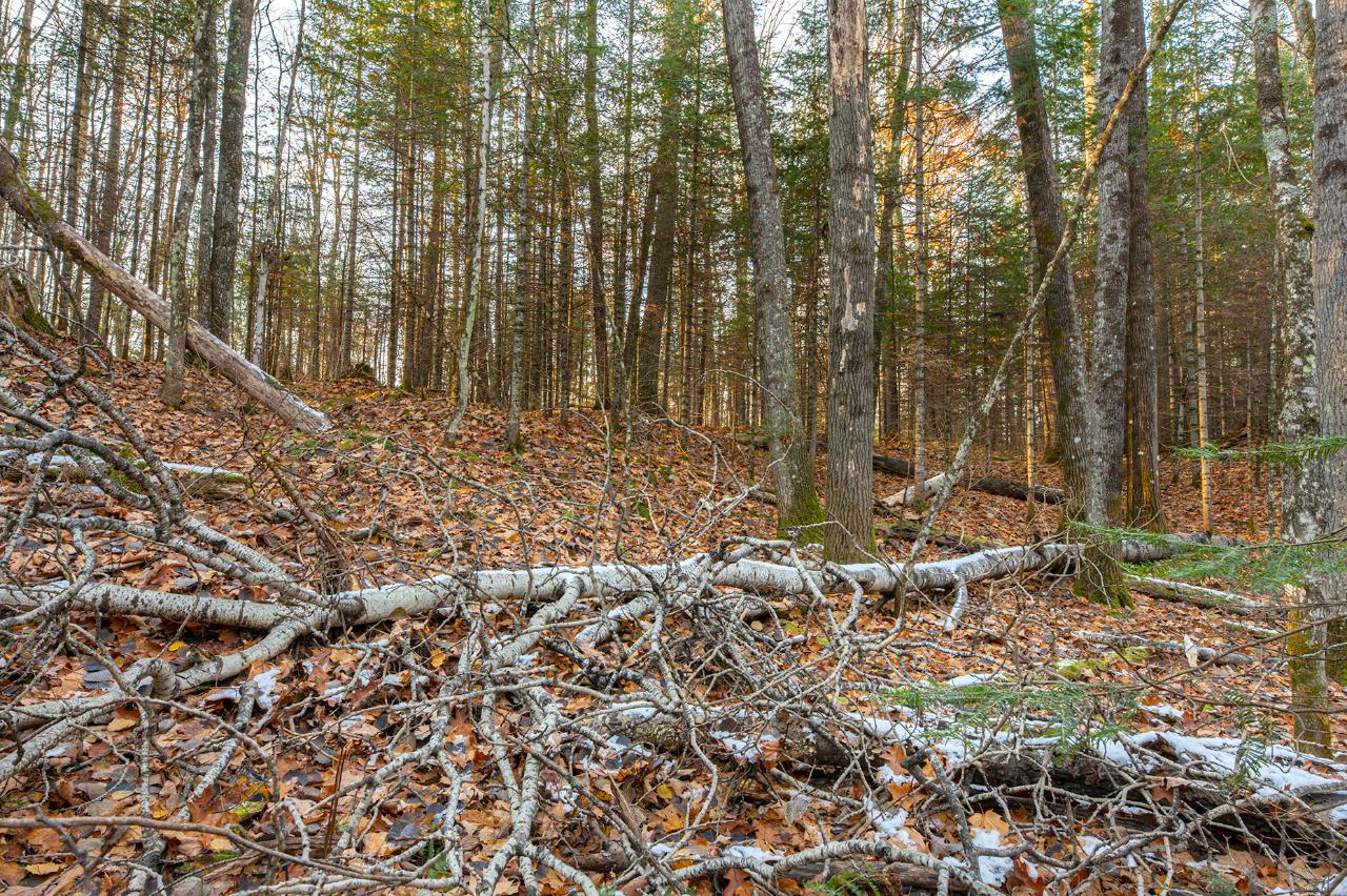 On Silver Birch Road Conover, WI 54519 - Photo 9 of 14 Gallery Image 9