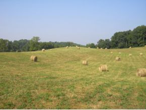 Lot 3 Jack Kyker Road Fall Branch, TN 37656 - Photo 1 of 2 Photo 1