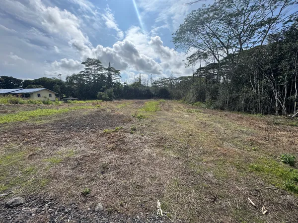 a view of a yard with an tree