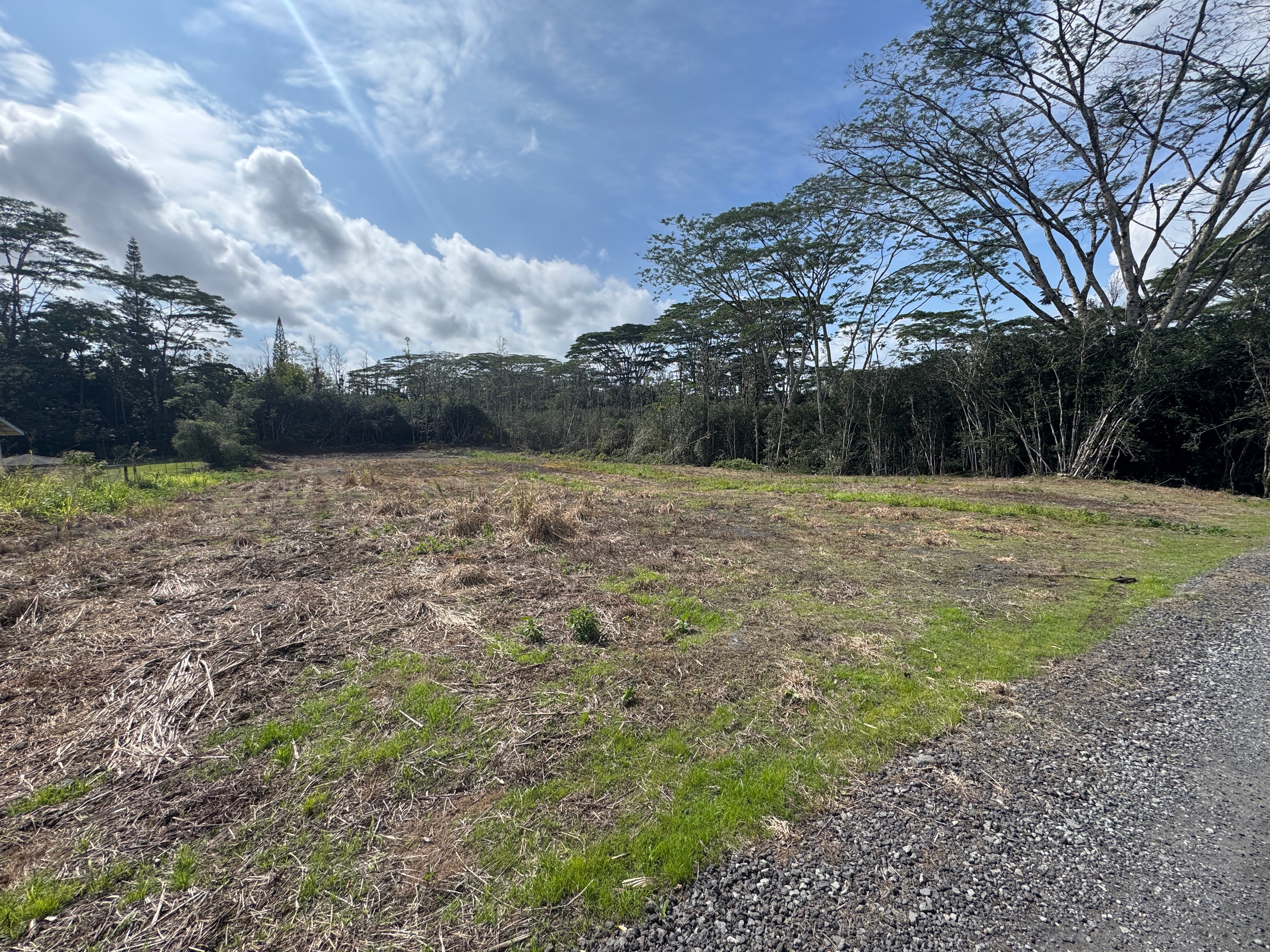 931 25th Avenue Keaau, HI 96749 - Photo 2 of 2 a view of outdoor space with trees