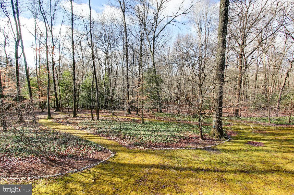 11419 Running Cedar Road Reston, VA 20191 - Photo 25 of 30 a view of a park with large trees