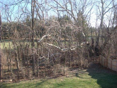 173 Whitman Way Georgetown, KY 40324 - Photo 48 of 49 Photo 48