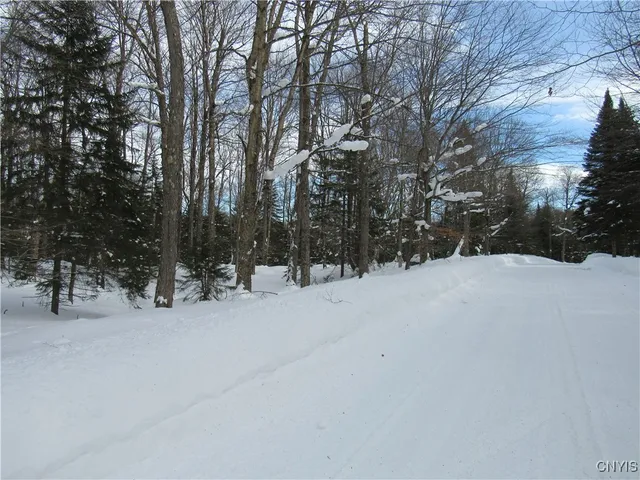 $170,000 | Tamarack Drive, Old Forge, NY 13420