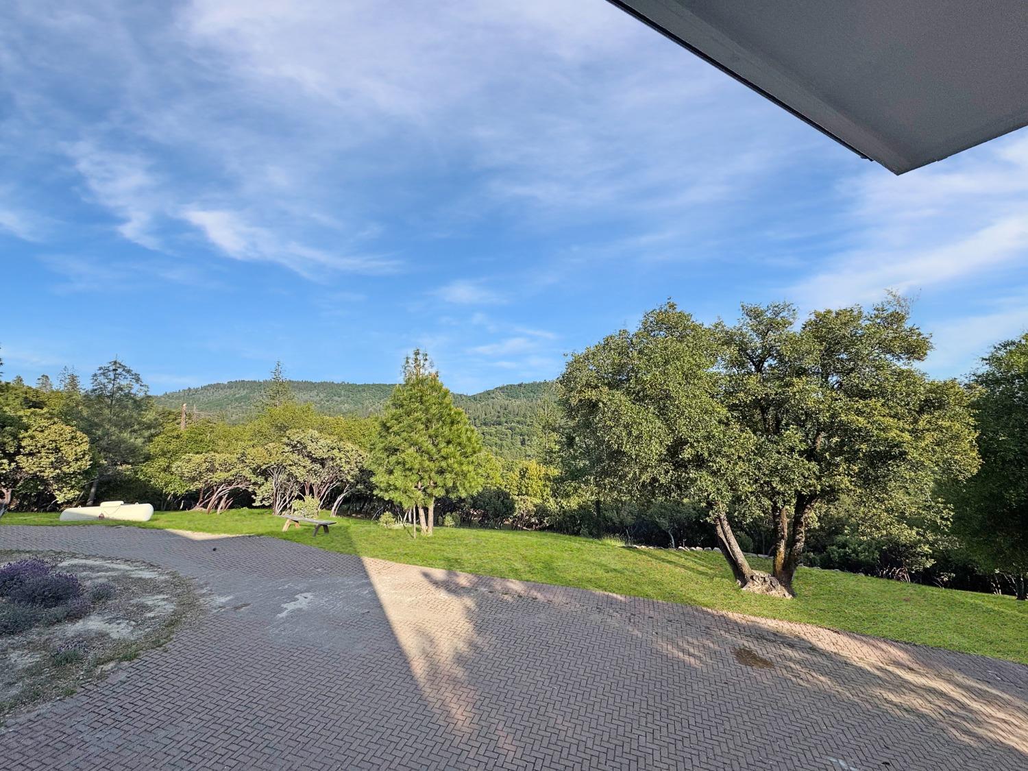 10095 Birchville Road Nevada City, CA 95959 - Photo 13 of 38 a view of a road with a yard
