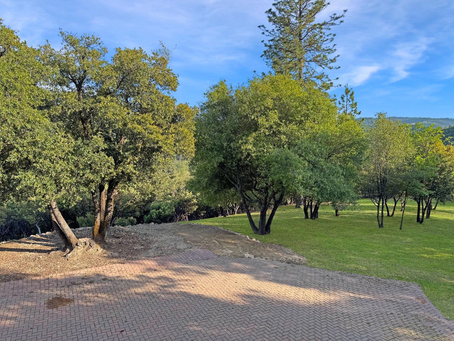 10095 Birchville Road Nevada City, CA 95959 - Photo 14 of 38 a view of a park with large trees