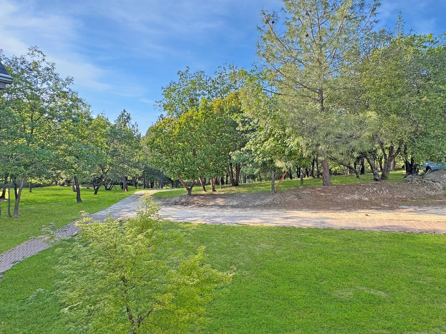 10095 Birchville Road Nevada City, CA 95959 - Photo 30 of 38 a view of green field with trees in the background