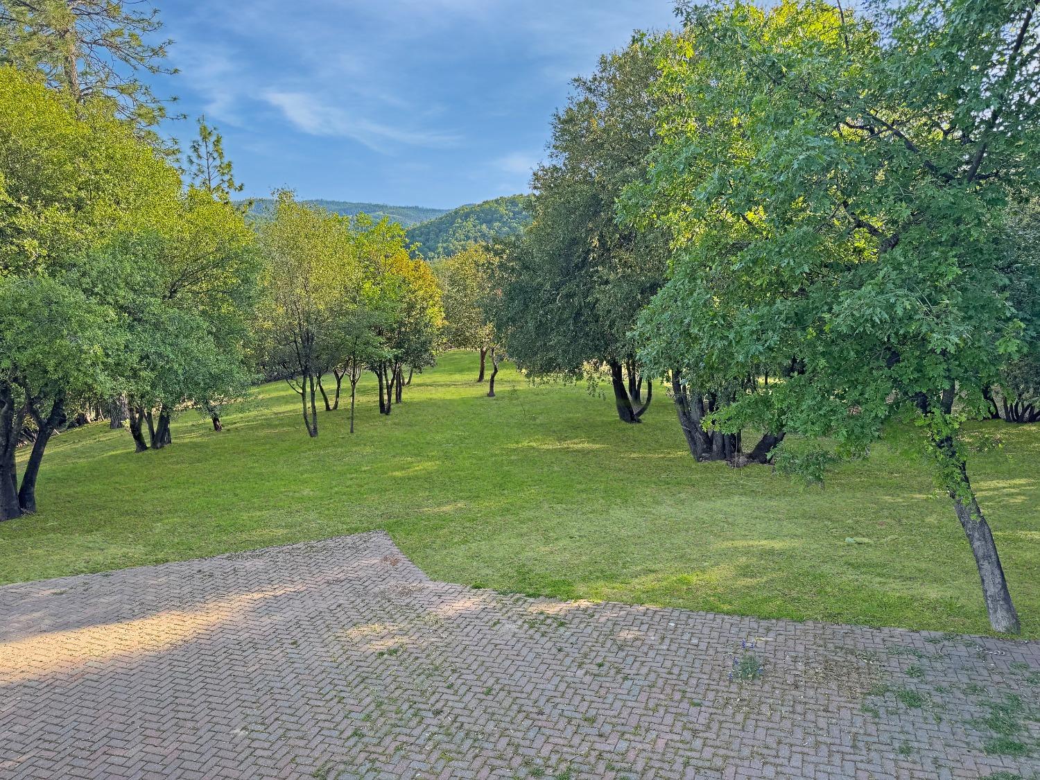 10095 Birchville Road Nevada City, CA 95959 - Photo 3 of 38 a view of a park with large trees