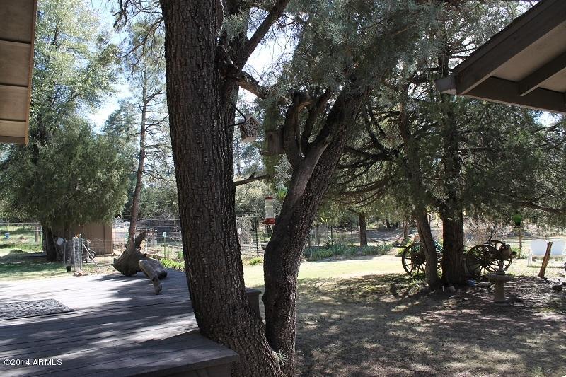 800-802 North Colcord Road Payson, AZ 85541 - Photo 33 of 39 Yard 2