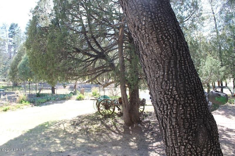 800-802 North Colcord Road Payson, AZ 85541 - Photo 34 of 39 Yard 3