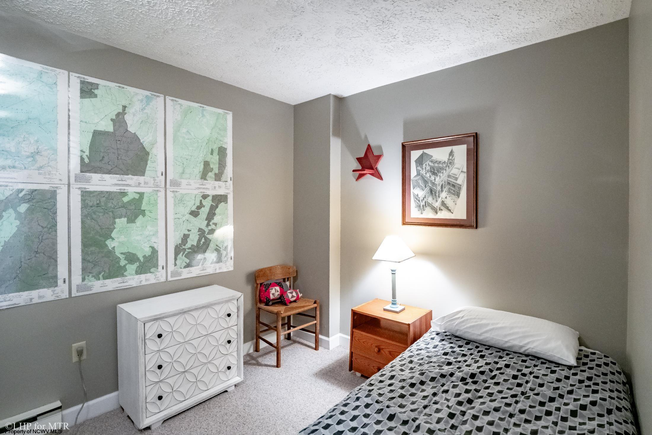 1681 Mountainside Road Davis, WV 26260 - Photo 29 of 42 Gallery Image 29