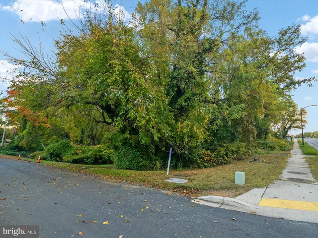 a view of a yard with a tree