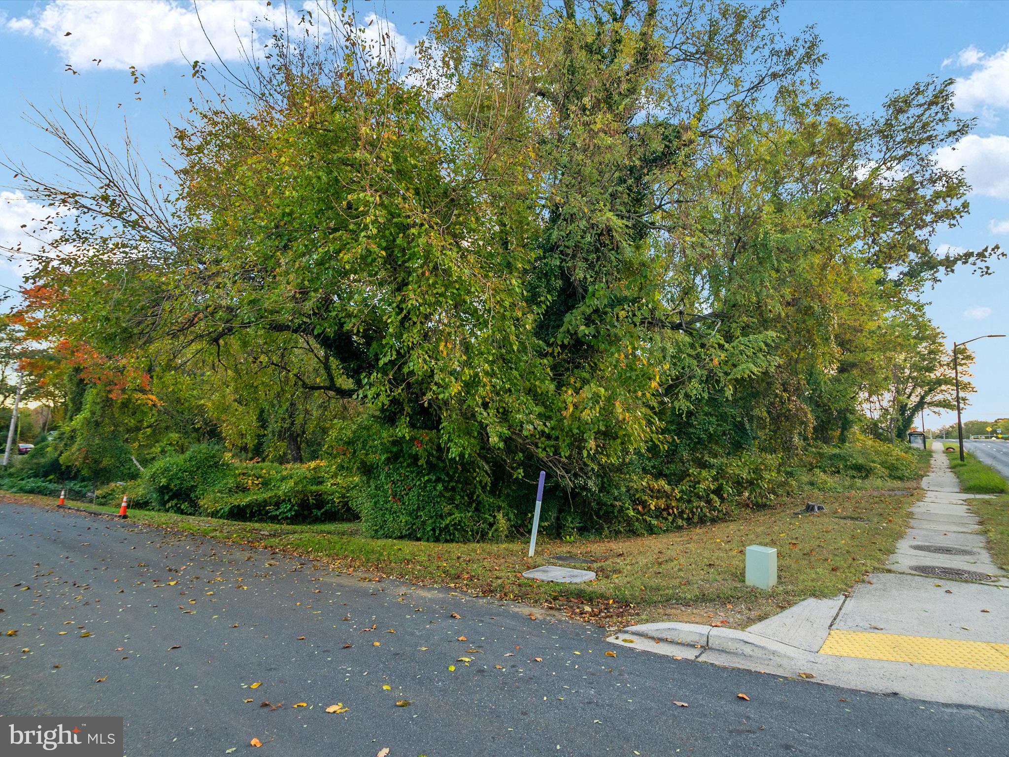 668 North Bestgate Road Annapolis, MD 21401 - Photo 3 of 19 a view of a yard with a tree