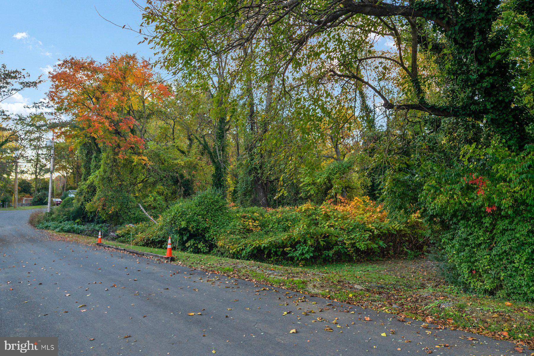 668 North Bestgate Road Annapolis, MD 21401 - Photo 5 of 19 a view of a field with plants and trees