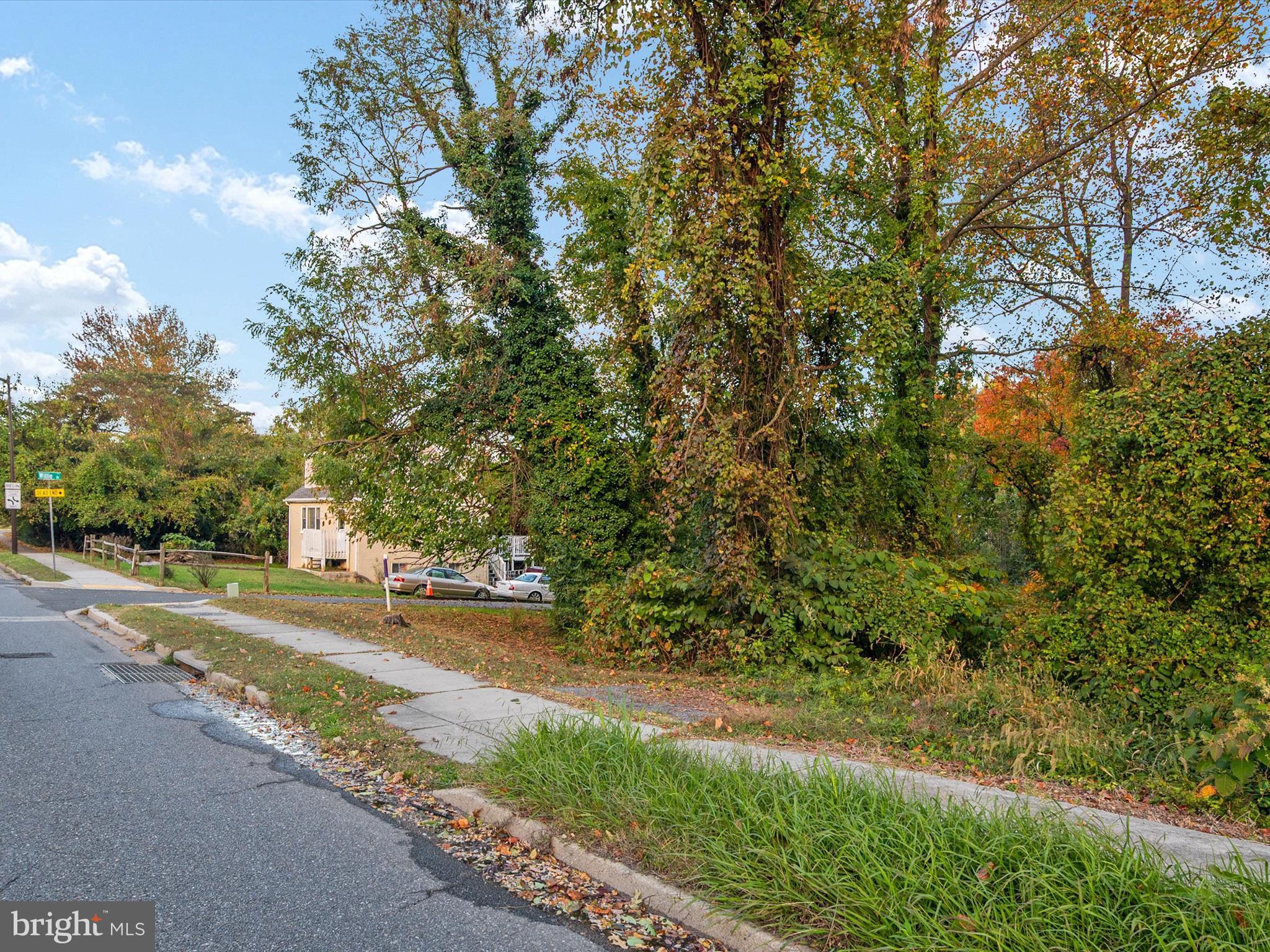 668 North Bestgate Road Annapolis, MD 21401 - Photo 6 of 19 a view of a yard with plants and trees