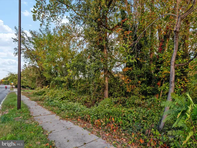a view of a yard with plants and trees