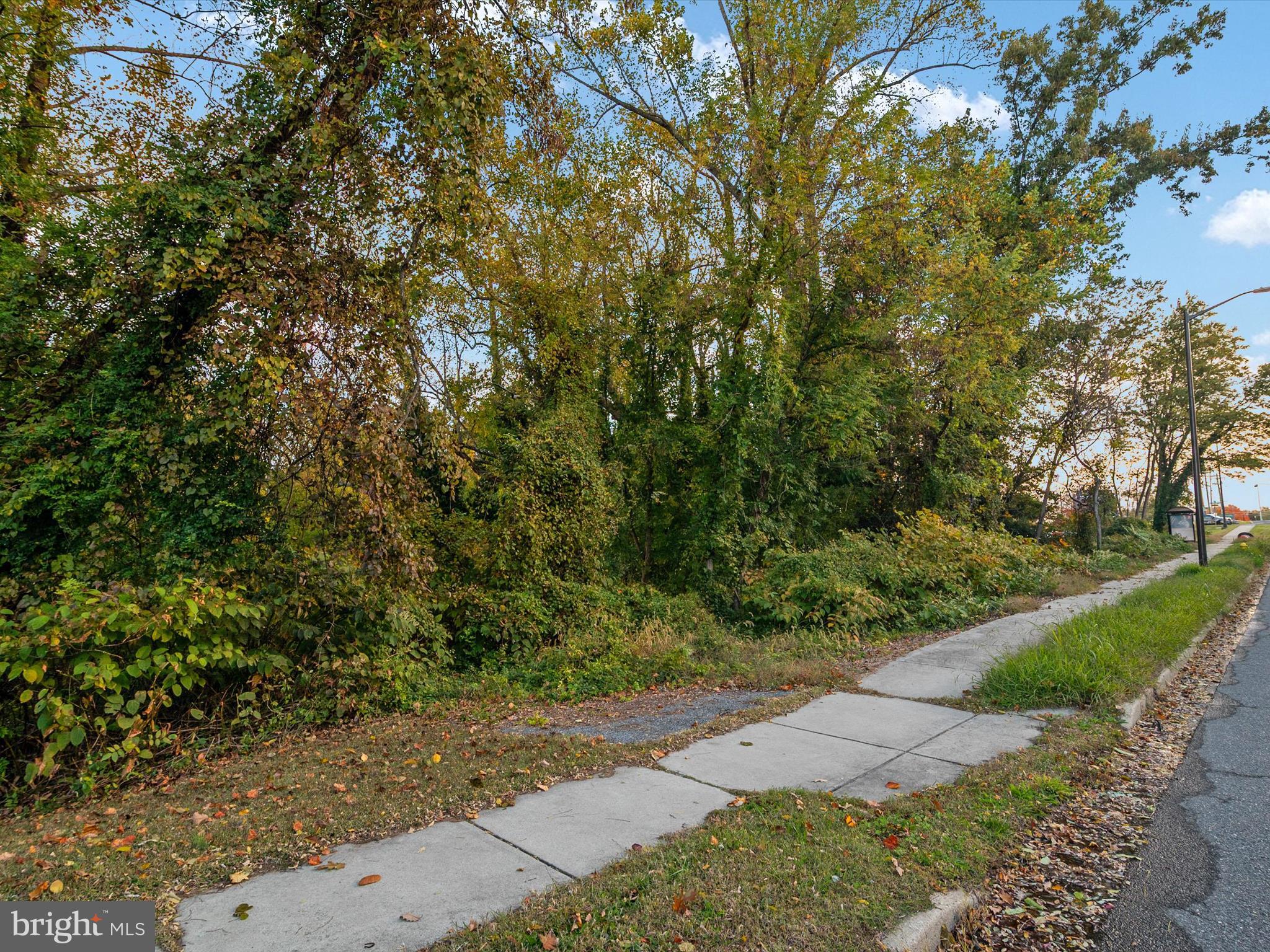 668 North Bestgate Road Annapolis, MD 21401 - Photo 8 of 19 a view of a yard with plants and trees