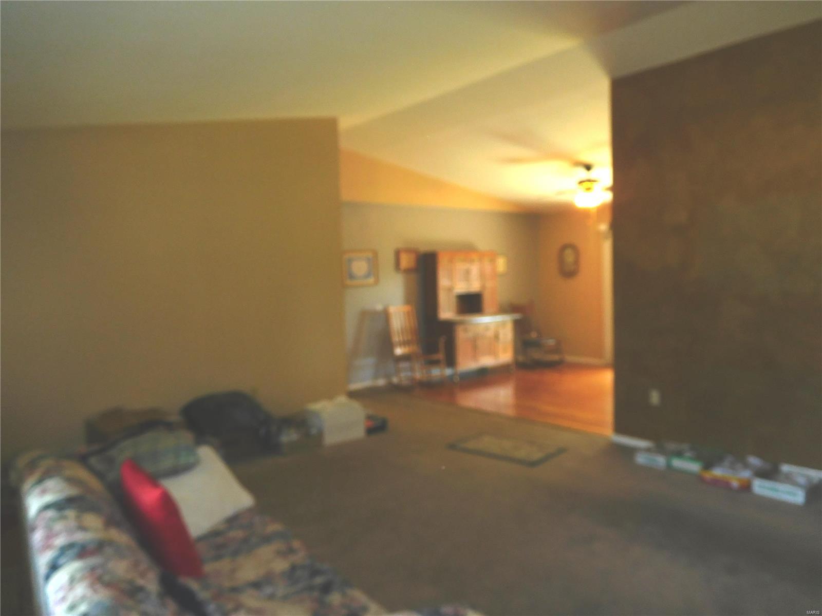12610 Silver Lake Road Highland, IL 62249 - Photo 8 of 29