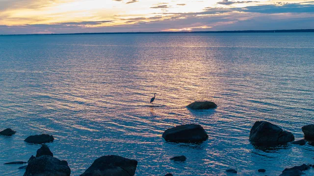 $7,250,000 | 24 Westwood Road, North Falmouth, MA 02556