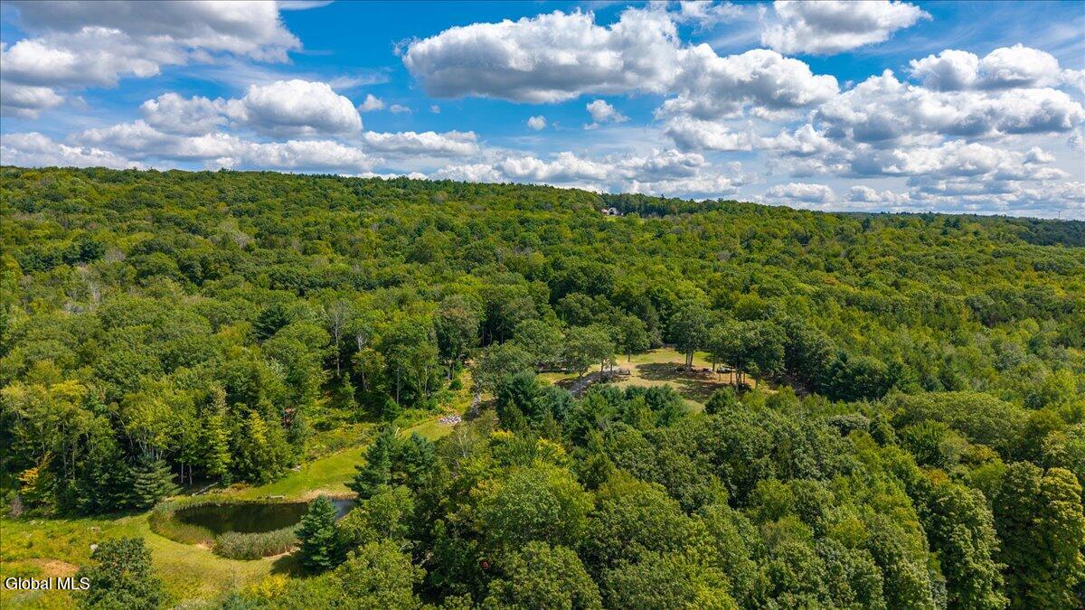 260 S Road Stephentown, NY 12018 - Photo 41 of 56 16-260 S Rd-16