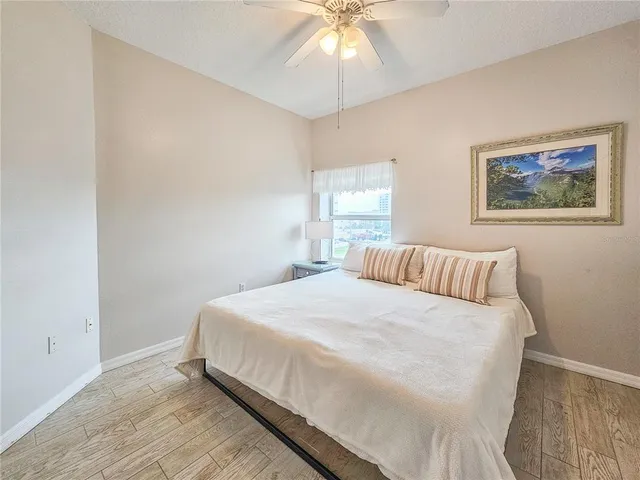 a view of a park with large trees