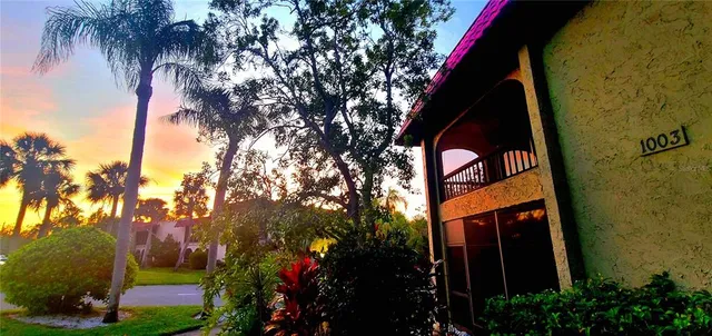 a view of a house with a tree
