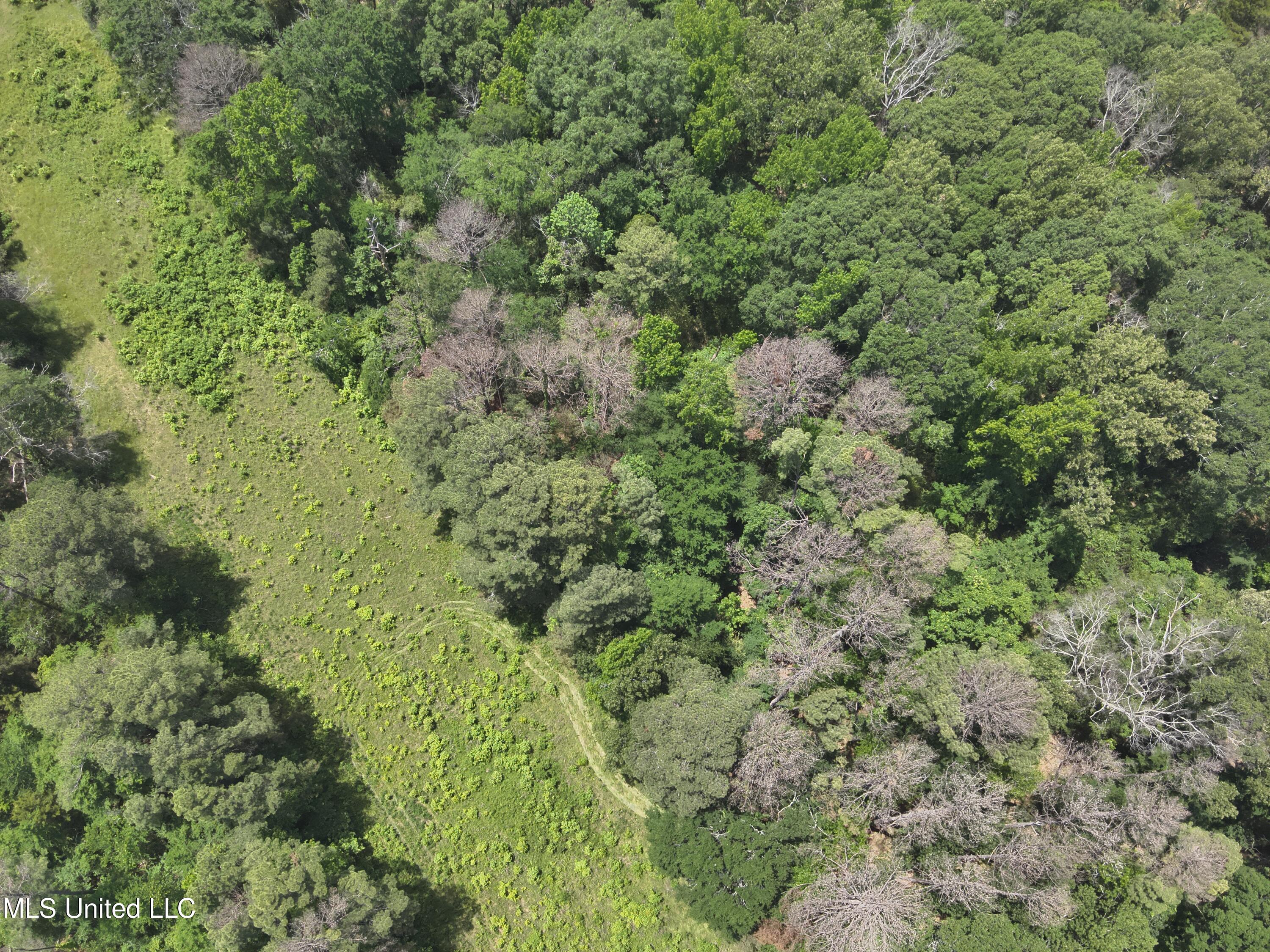 North Livingston Road Ridgeland, MS 39157 - Photo 3 of 15 DJI_20240506130717_0003_V