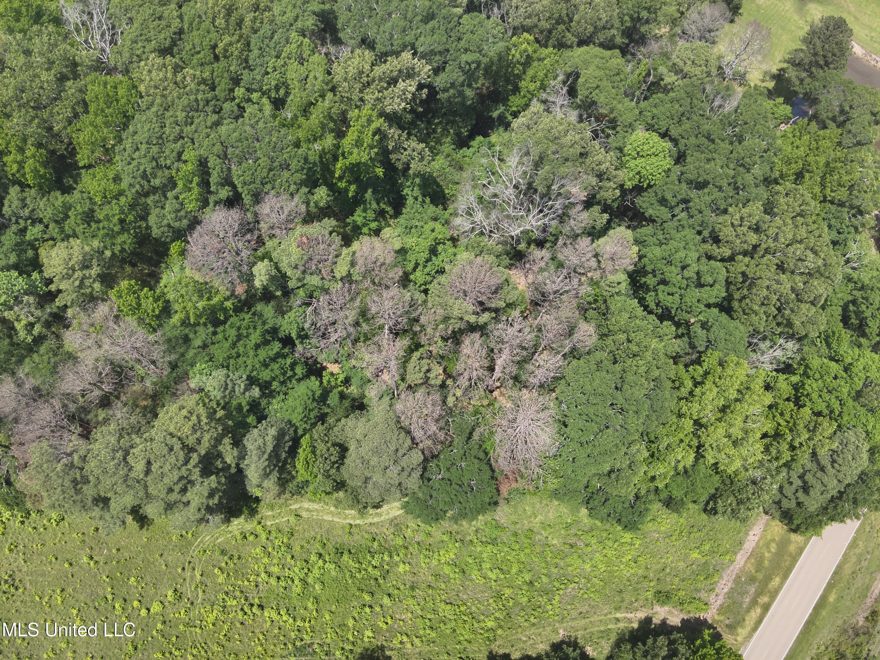 North Livingston Road Ridgeland, MS 39157 - Photo 4 of 15 DJI_20240506130707_0002_V