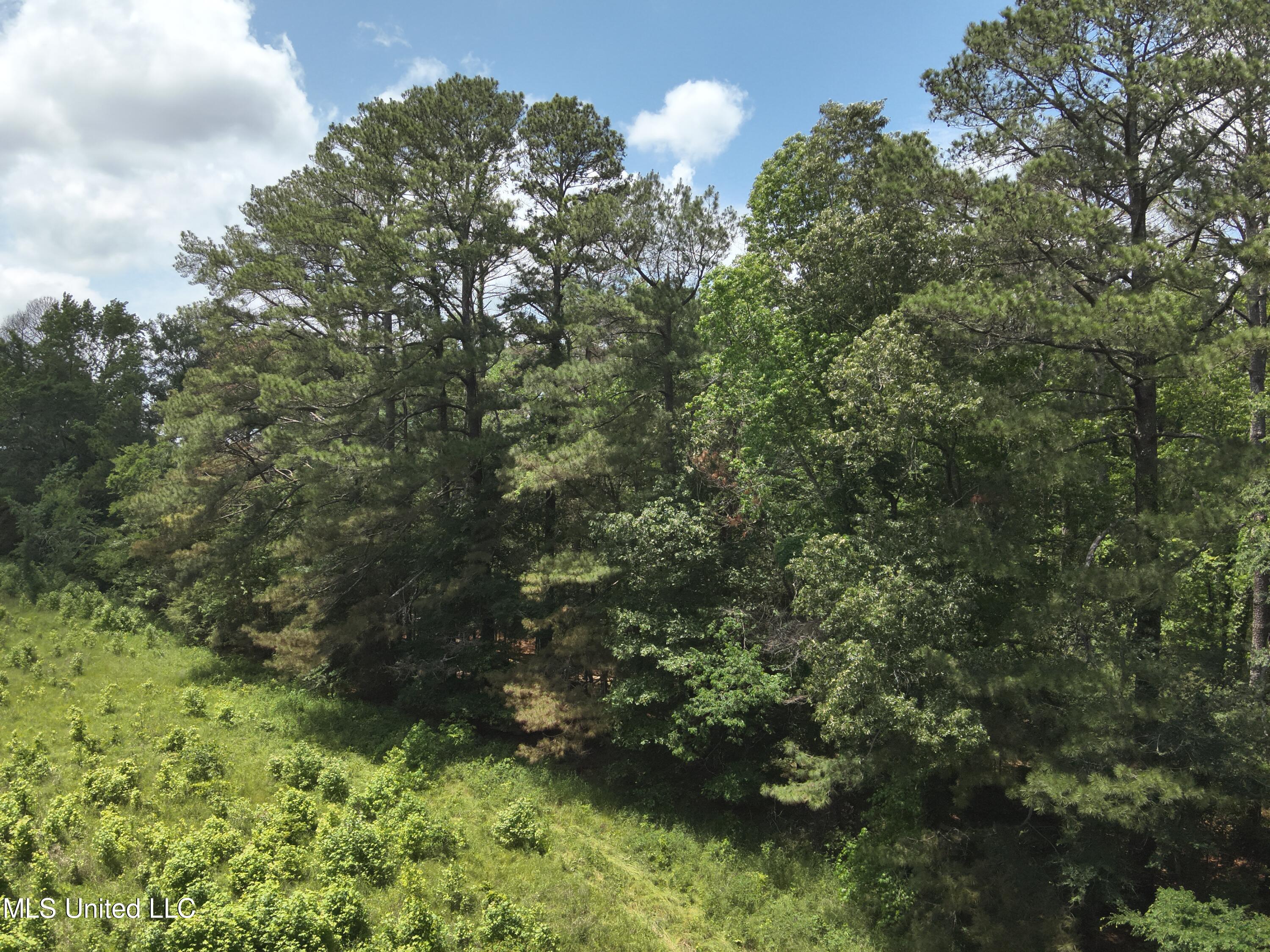 North Livingston Road Ridgeland, MS 39157 - Photo 6 of 15 DJI_20240506130801_0005_V