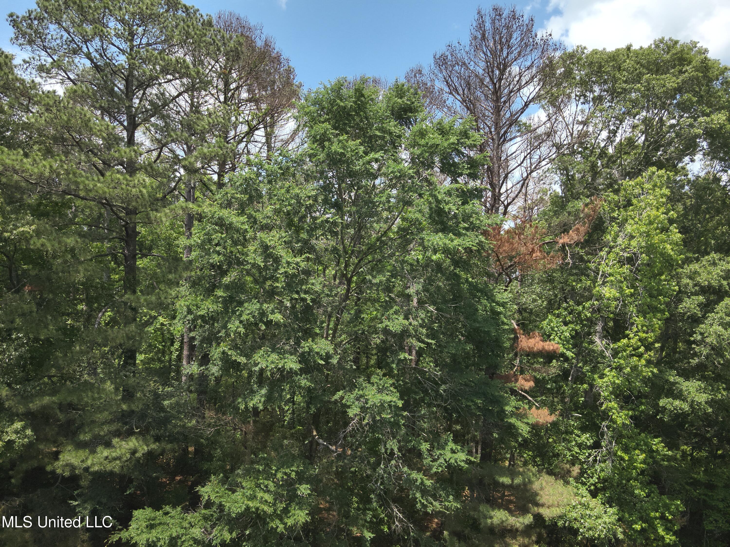 North Livingston Road Ridgeland, MS 39157 - Photo 8 of 15 DJI_20240506130807_0006_V