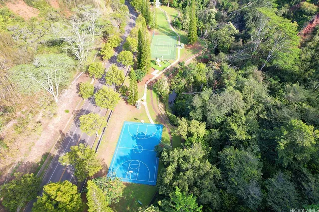 a picture of flowers