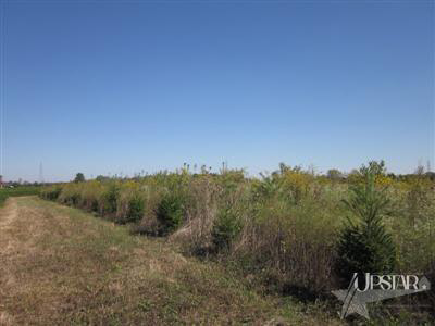 -0 North Mayne Road Roanoke, IN 46783 - Photo 14 of 22