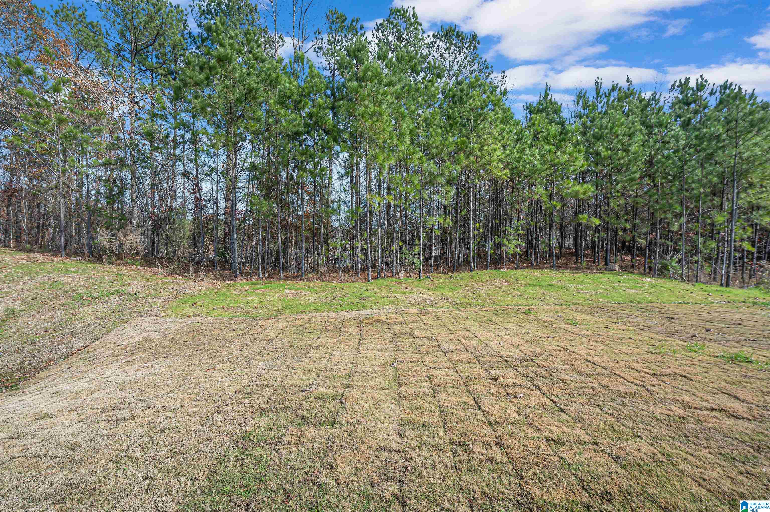 169 Barimore Boulevard Helena, AL 35080 - Photo 50 of 59